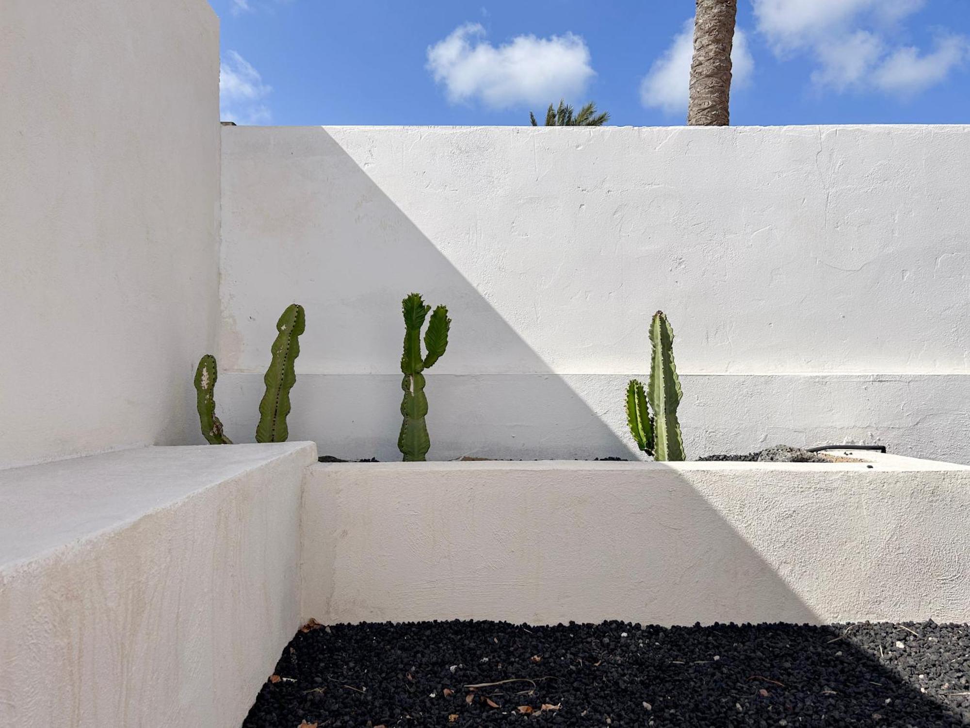 House Boho Palm With Private Heated Pool And Garden, 3 Bedrooms, Wi-Fi Corralejo Exterior foto